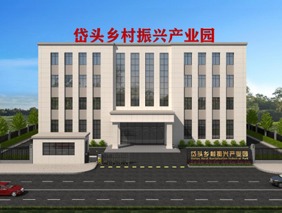 广东省岱头村乡村振兴产业园项目